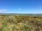 Ilkley Moor, Yorkshire, United Kingdom