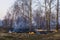 Illegal burning of dry last year`s grass in early spring