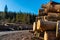 Illegal cutted huge pine wood logs near roadside close up shot in Romania