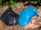 Illegal dump dumped garbage bags