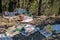 Illegal dumping and littering - piles of supermarket catalogues in the bush