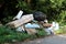 Illegal garbage dump near local paved forest road filled with domestic garbage surrounded with tall grass and forest vegetation