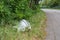 Illegal rubbish dumped on the side of the road