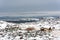 Illegal trash dump in the Arctic snow polluting the pristine environment on the coast