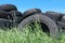 Illegally disposed old tires