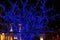 Illuminated blue tree at Place Gutenberg during Christmas season