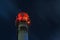 Illuminated Brick Tower Of Thermal Station At Night