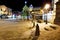 Illuminated Christmas Tree in Megeve