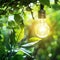 Illuminated Eco-Concept: Lightbulb in Nature