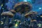 Illuminated Fantasy Mushrooms Under Starry Sky. Mystical giant mushrooms glowing under a celestial night sky