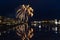 Illuminated firework against the backdrop of a tranquil river.