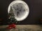 illuminated full moon image around the hall for Christmas celebration