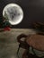 illuminated full moon image around the hall for Christmas celebration