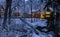 Illuminated houses- winter forest
