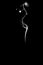 Illuminated incense, white smoke on black background.