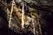 Illuminated multicolored stalactites in cave HAN-SUR-LESSE