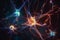Illuminated Neuronal Connections: Exploring a Network of Neurons Through a Microscope