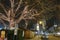 Illuminated ornated trees on the streets of Munich