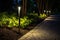 an illuminated pathway with solar stake lights at night