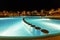 Illuminated pool at night with tropical palms