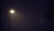 Illuminated Public Lamp in Dark Night Heavy Rain