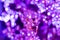 Illuminated purple flowers blurred background