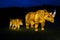 Illuminated Rhino display lantern