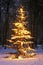 Illuminated snowy christmas tree