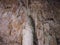 Illuminated Stalactites and stalagmites in Ngilgi cave in Yallingup