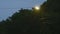 Illuminated street lamp in dark night and heavy rain