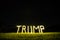An illuminated Trump sign in West Virginia