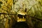 Illuminated underground corridor through the cave with a lot of beautiful decorations