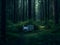 Illuminating Wilderness: Captivating Electrical in a Forest Pictures for Your Home or Office\\\