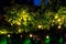 illumination holiday lights garden with electric garland bulbs.