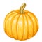 Illustrastion of autumn ripe pumpkin.