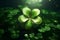 Illustrate the charm of a fourleaf clover as a