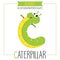 Illustrated Alphabet Letter C and Caterpillar