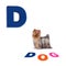 Illustrated alphabet letter D and dog on white