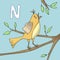 Illustrated alphabet letter N and Nightingale. ABC book image vector cartoon. The nightingale sings on a tree branch