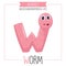 Illustrated Alphabet Letter W and Worm
