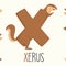 Illustrated Alphabet Letter X And Xerus