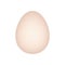 Illustrated animal egg, realistic style illustration - Vector