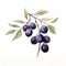 Illustrated Black Plum Branch With Detailed Foliage
