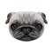 Illustrated face of Pug Dog.