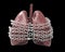 Illustrated lungs with silver chains