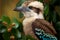 Illustrated portrait of an Australian kookaburra