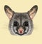 Illustrated portrait of Common brushtail possum