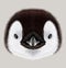 Illustrated portrait of Emperor penguin chick