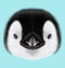 Illustrated portrait of Emperor penguin chick