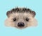 Illustrated portrait of Hedgehog